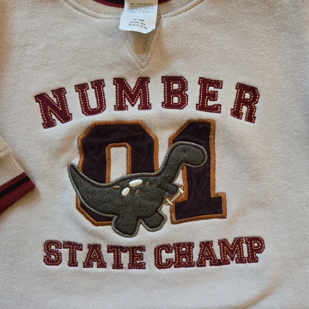 Vintage 1990s Y2K Carter's maroon and beige dinosaur sports sweatsuit set
